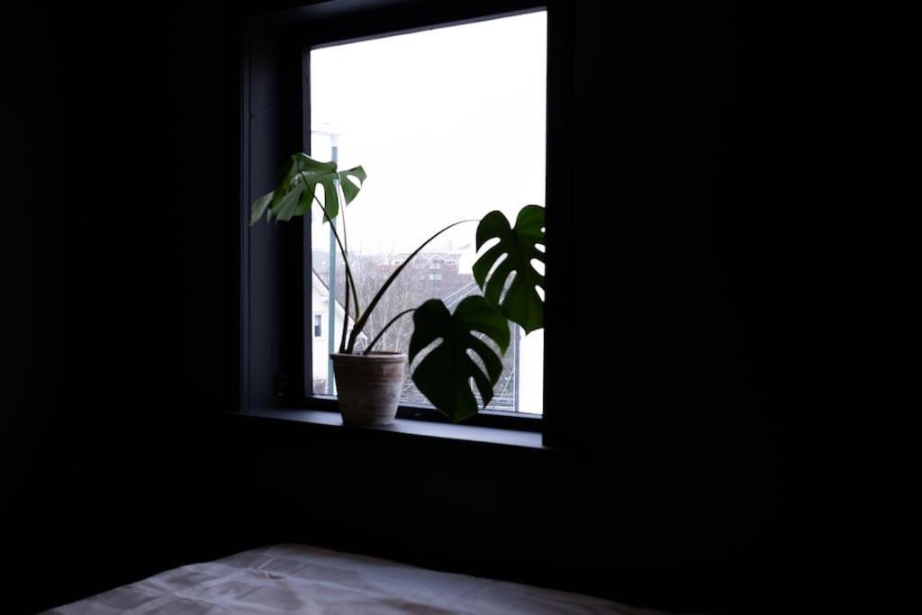 Charming Apartment In Central スタヴァンゲル エクステリア 写真